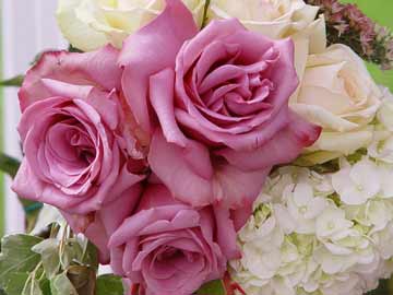 bouquit palla fiori misti