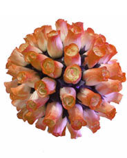 bouquet rose di maggio