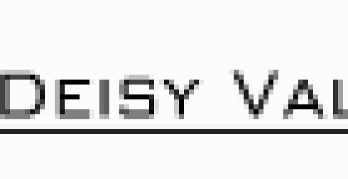 Deisy Valli Photographer