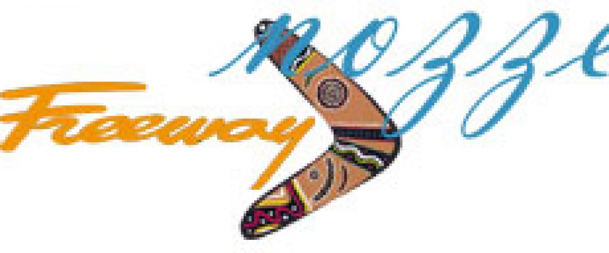 the freeway srl