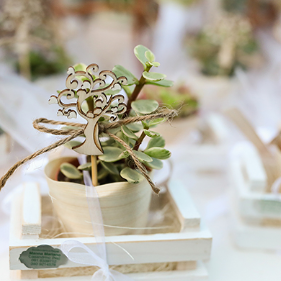 bomboniere matrimonio tema green
