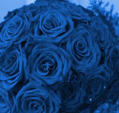 bouquet a palla blu