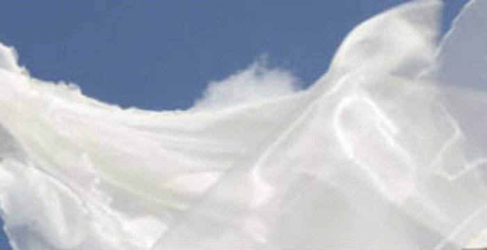 Velo da sposa