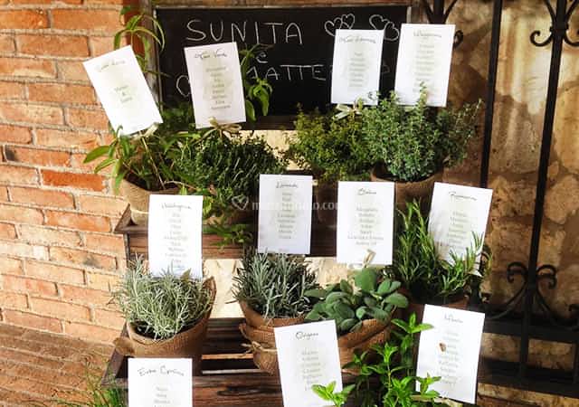 matrimonio ecosostenibile