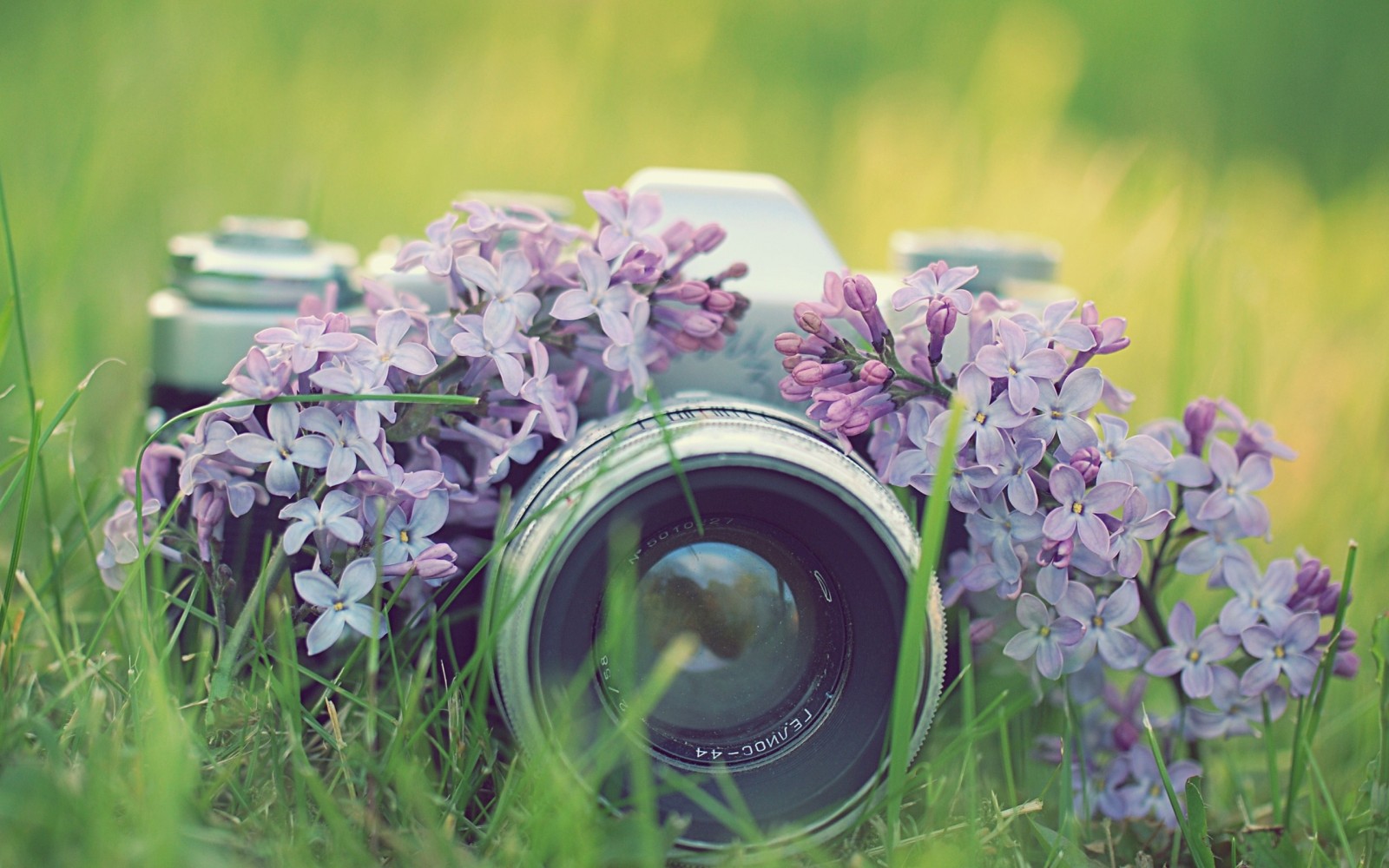 Richiesta preventivo fotografo matrimonio